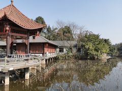 -巴山·烤全羊(高新总店)