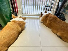 -平行世界·猫咖(首经贸店)