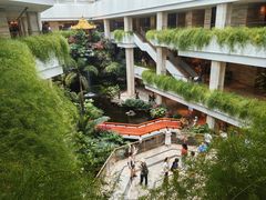 -广州白天鹅宾馆