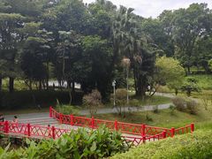 -东莞植物园