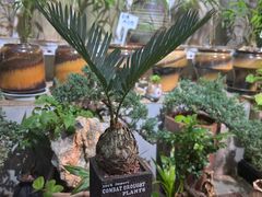 -花鸟鱼虫鲜花绿植市场(玉泉路店)