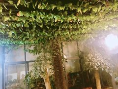 -阿鹏故事云南野生菌火锅(人民路店)