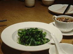 橄榄油高山豌豆苗-庆春朴门