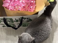-ROIIN用心(武汉首店)
