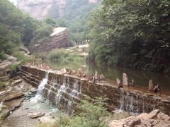 iphone_upload_pic-龙潭大峡谷