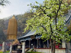 -天津盘山风景名胜区