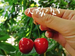 -樱桃沟景区