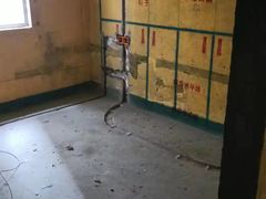 -恒彩家装·品质整装(集团店)
