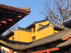 -灵谷景区