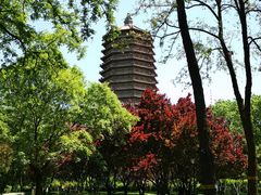 -玲珑塔公园