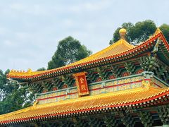 -广东圆玄道观