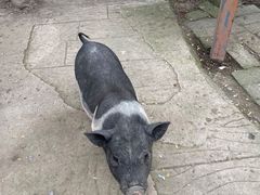 -昆山城市生态森林公园