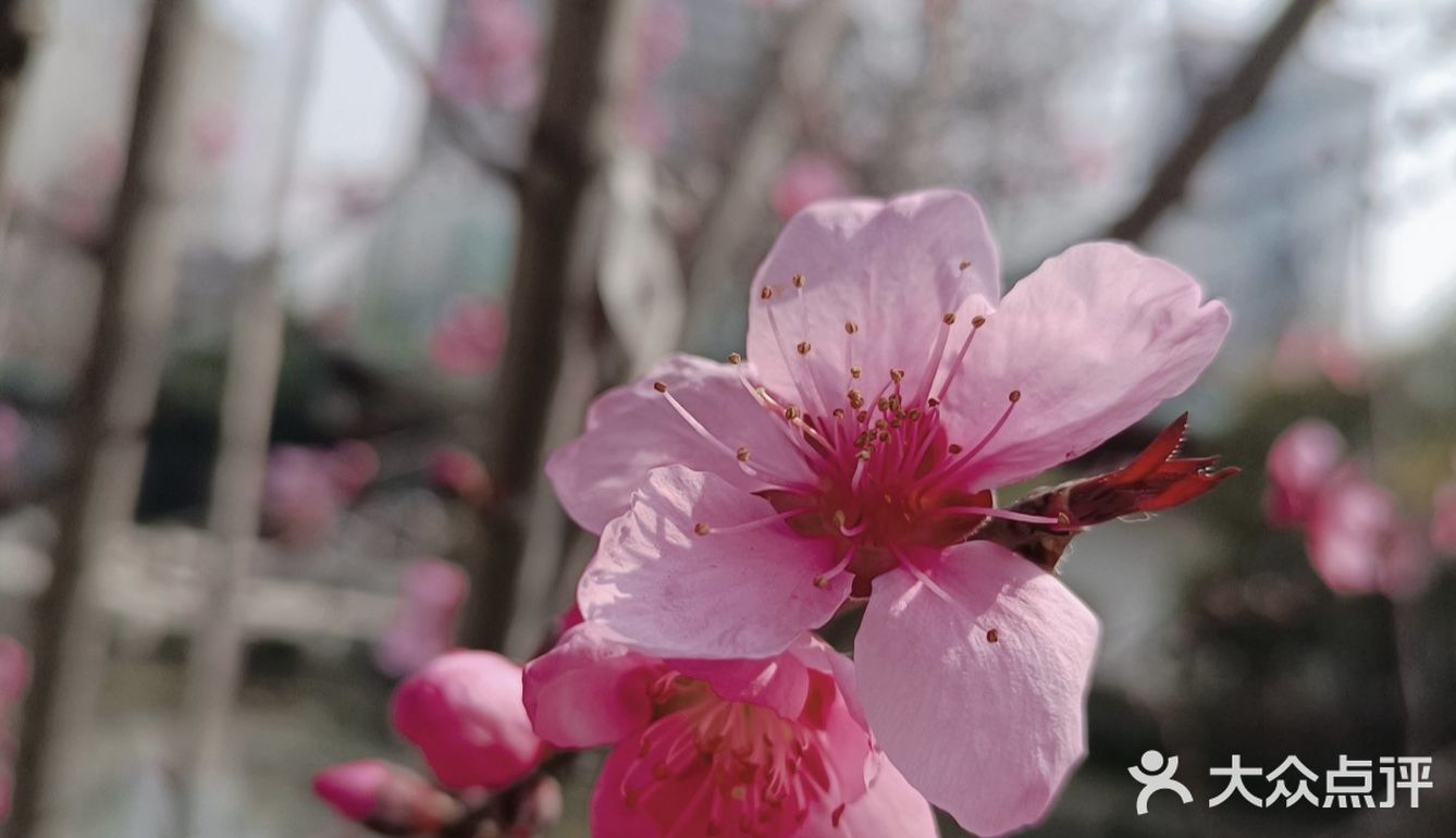 春暖花开煦阳自来