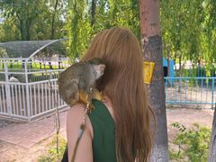 -水上乐园·欢乐世界