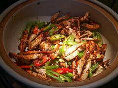 -佰园全日西餐厅-厦门佰翔软件园酒店