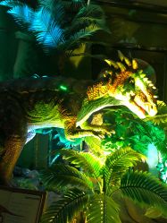 -恐龙探索乐园(磁器口店)