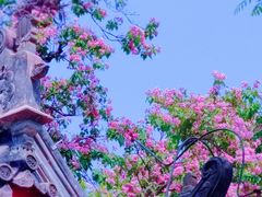 -北京艺术博物馆(万寿寺)