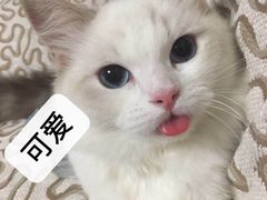 -希望动物医院(汉阳院)