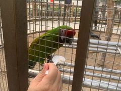 -南宫五洲植物乐园