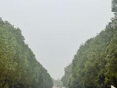 -渌洋湖湿地公园