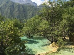 -黄龙山原始森林景区