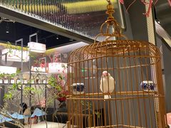 大堂-竹外桃花·江南小酒馆(SKP·S店)