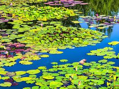 -国家植物园南园