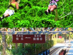-海南槟榔谷黎苗文化旅游区