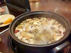 -滇野云南野生菌餐厅(陕西南路店)