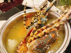 -圣丰索菲特·2 On 988 Café 自助餐厅