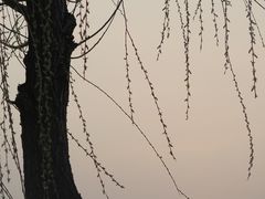-迎泽公园