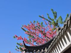 -风云岭森林公园