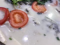 -全乐鱼馆·淳牌有机鱼直营店