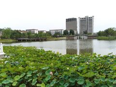 -西海子公园