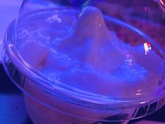 椰椰冻雪糕杯-喜茶(北京五棵松华熙店)