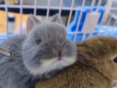 -萌兽医馆·眼科·异宠专科(三里屯店)