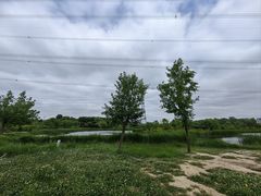 -昆山城市生态森林公园