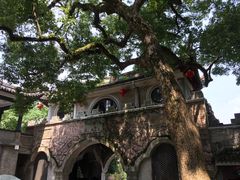 -溪口-滕头旅游景区