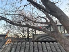 -糖房咖啡(南锣鼓巷店)
