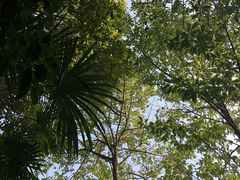 -张家港金凤凰度假村温泉