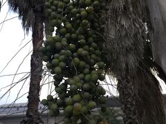 -福建鲤鱼洲酒店