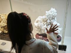 -安徽省地质博物馆