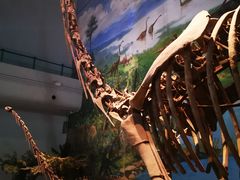 -自贡恐龙博物馆