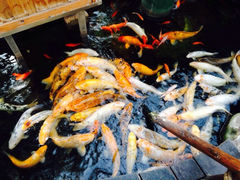 iphone_upload_pic-上海大自然野生昆虫馆