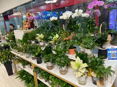 -怡花宜木鲜花店(朝阳路店)