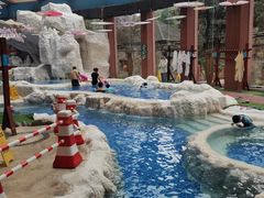 -中铁花水湾温泉酒店(大邑店)