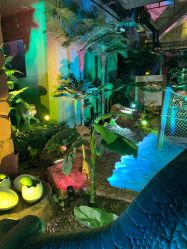 -恐龙探索乐园(磁器口店)