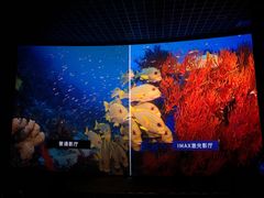 -英皇电影城(英皇集团中心IMAX店)