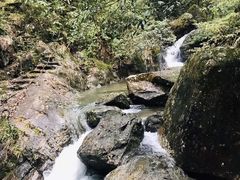 -九龙江国家森林公园