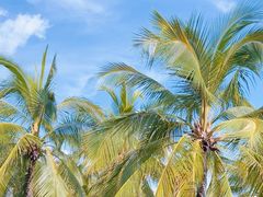 -日落吧·海景咖啡厅·餐酒吧·鸡尾酒·下午茶·乐队表演·浪漫夕阳·三亚文华东方酒店